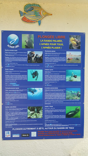 Plongee Libre