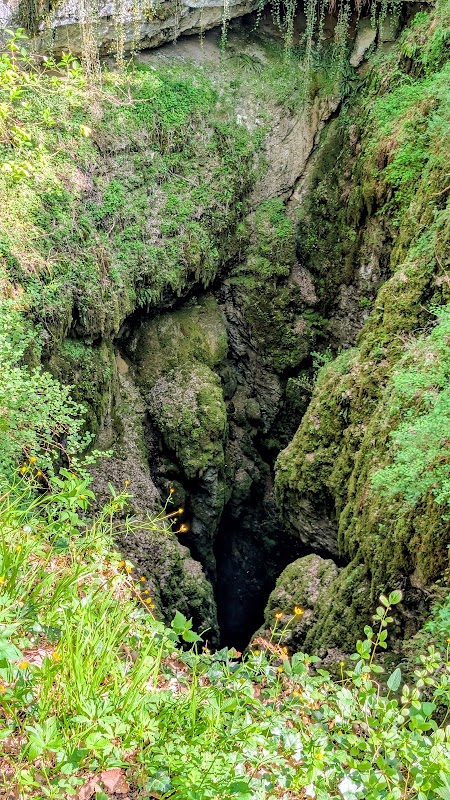 Forêt de Val-Suzon