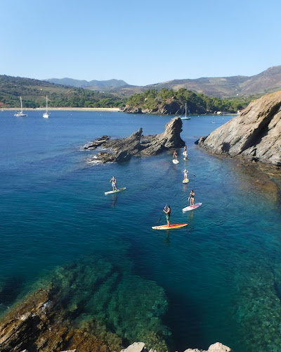 Paddling Paradise Paulilles