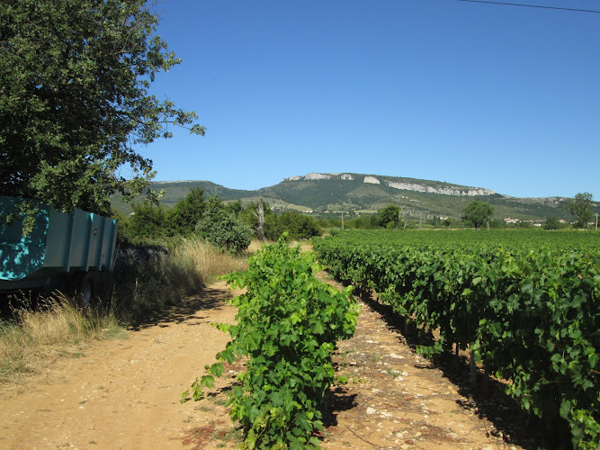 Domaine Alain DUMARCHER