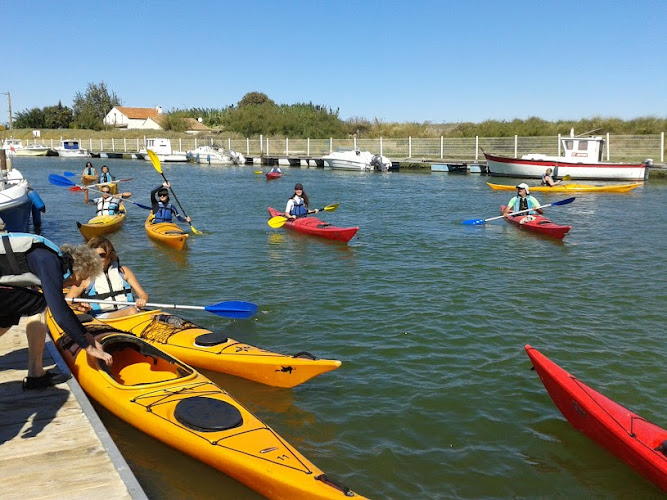 PALAVAS KAYAK DE MER PIROGUE SURFSKI STAND UP PADDLE ( PKM )