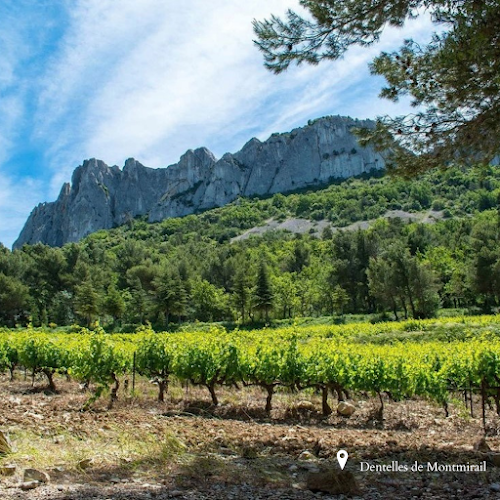 Winovin - Expériences et Activités autour du Vin en Vallée du Rhône