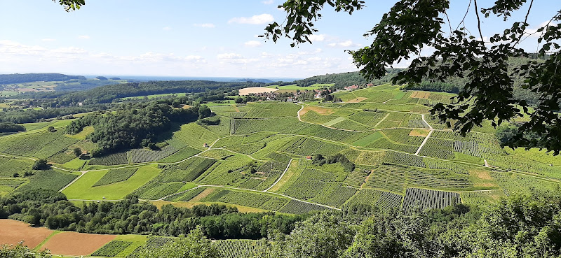 Domaine Berthet-Bondet