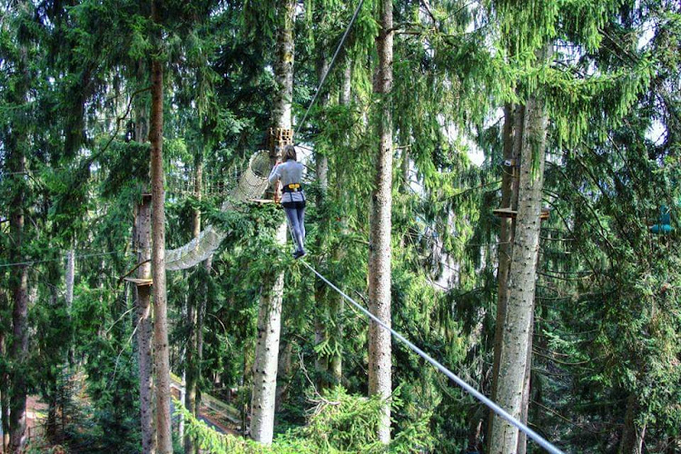 Cimes Aventure