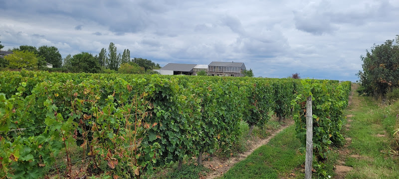 Domaine de la Belle Etoile