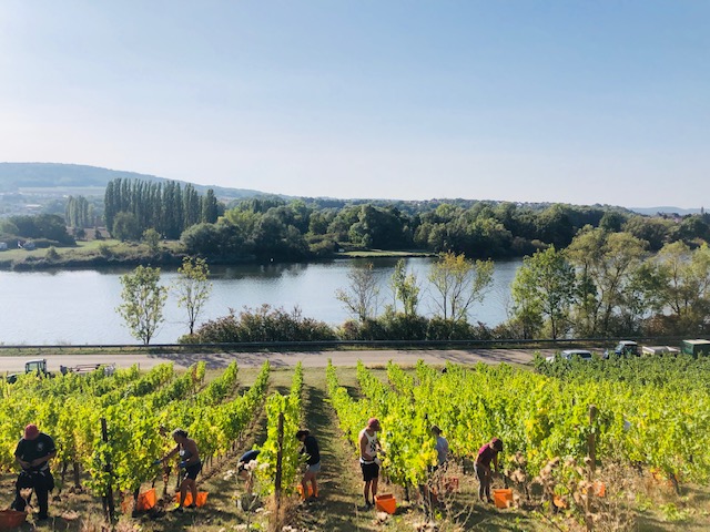Domaine Sontag