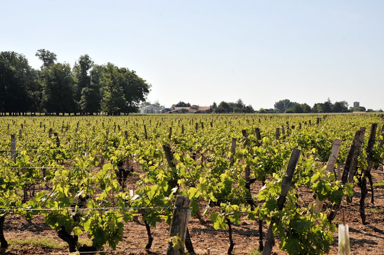 MAISON SAVINAUD COGNAC & PINEAU DES CHARENTES