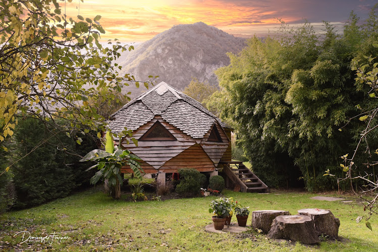 Apizome