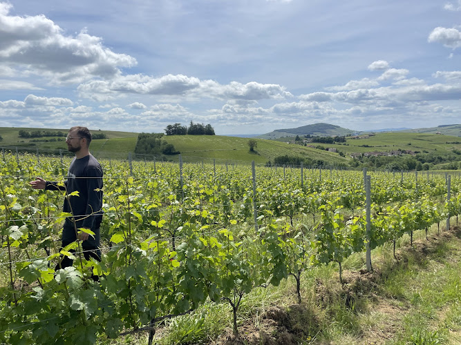 Jeanguyot Wine Agency - Wine Tour Lyon