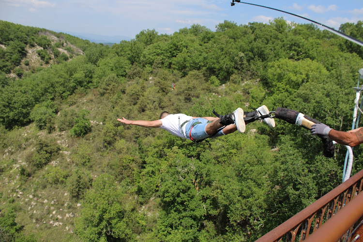 Elastic Crocodil Bungee