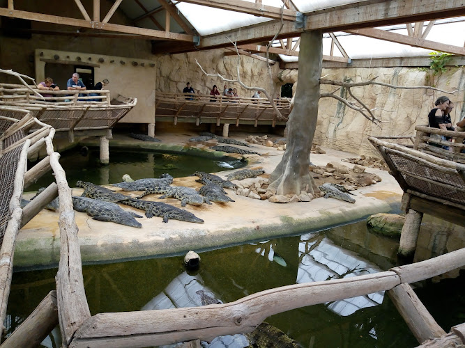 Alligator Bay