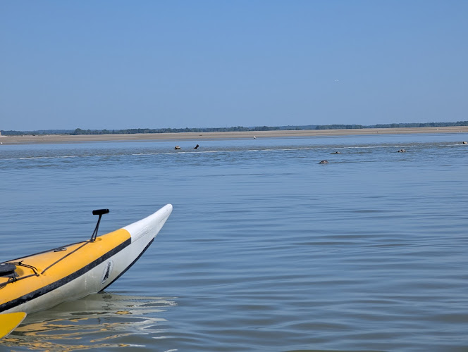 3D Nature Kayak