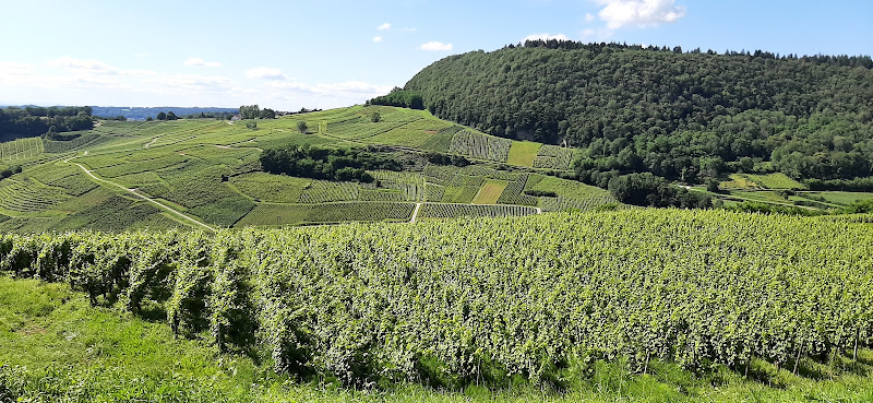 Domaine Berthet-Bondet