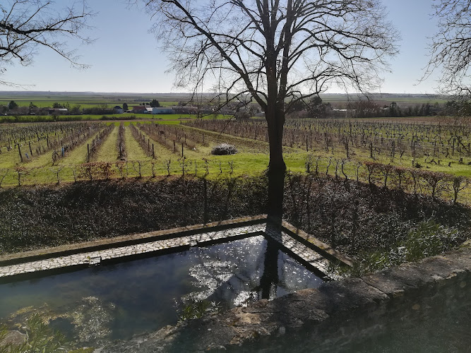 Les Terres Blanches