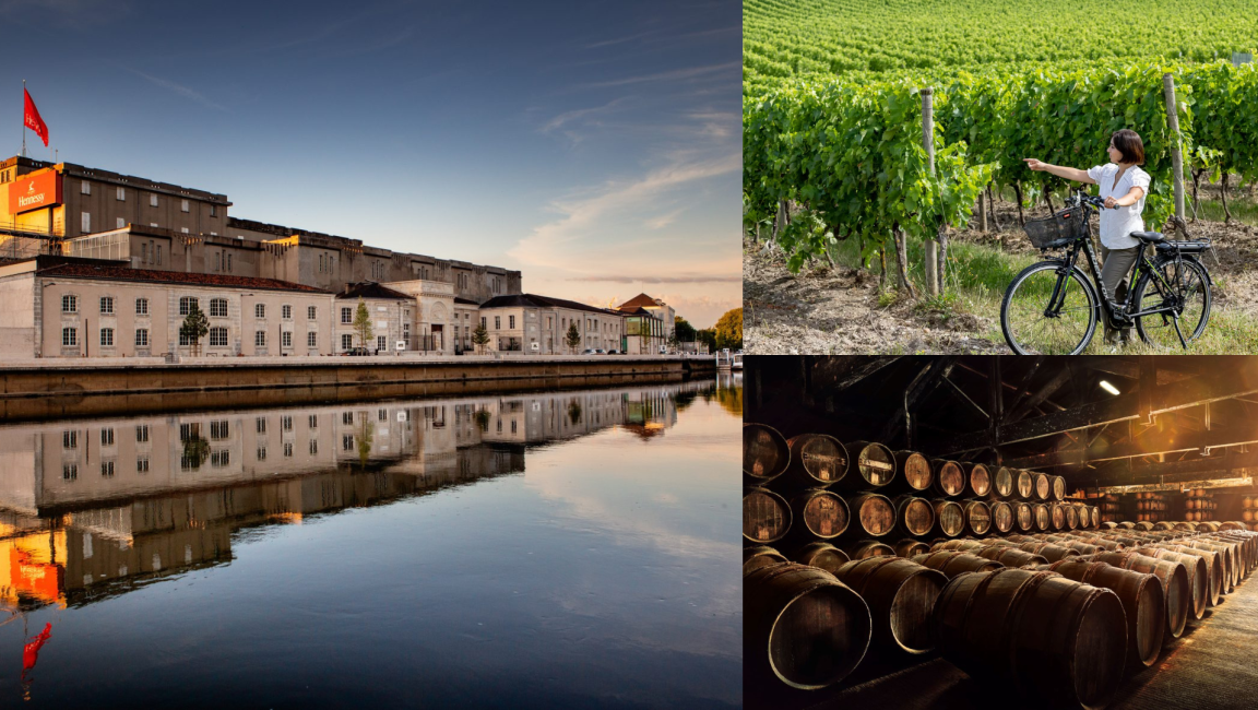 Découvrir les Vignobles de Hennessy en vélo électrique tout-terrain