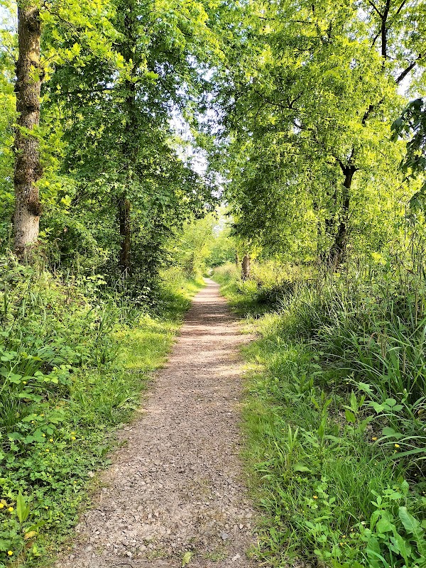 Forêt de Boulogne-sur-Mer