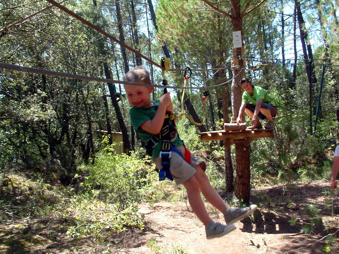 Arbre et Aventure 34