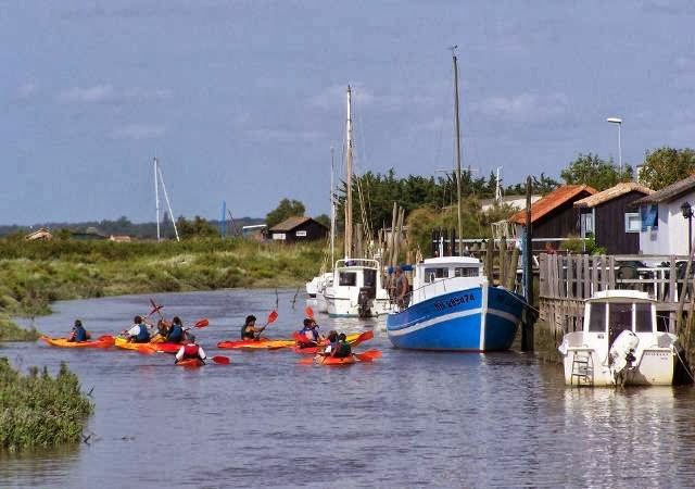 Kayak Et Nature En Seudre