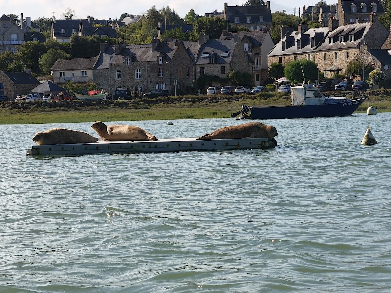 Les canoës du Guildo