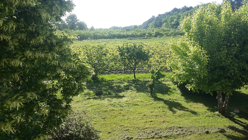 SCEA Vignobles Barron - Château Méric et Chante l'Oiseau - Vin bio depuis 1964
