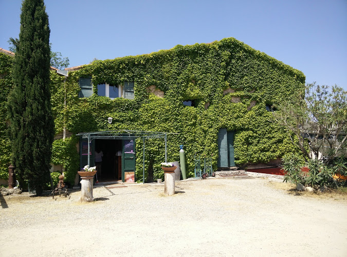 Domaine Orsucci