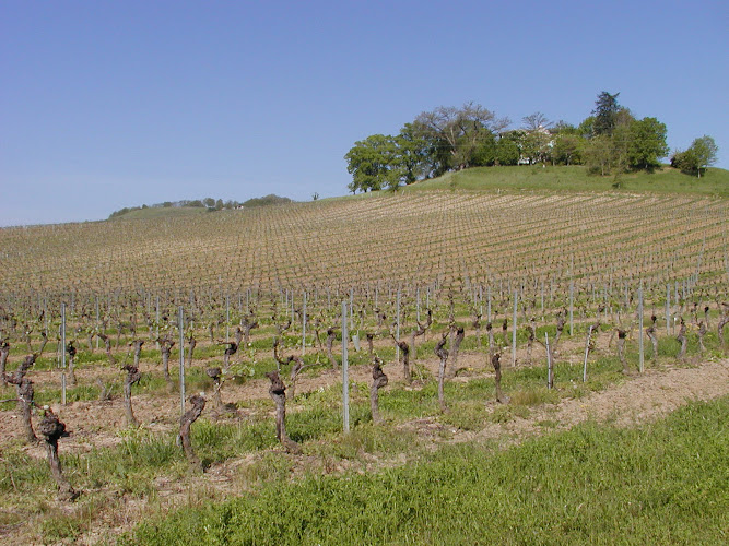 Domaine DUFFAU