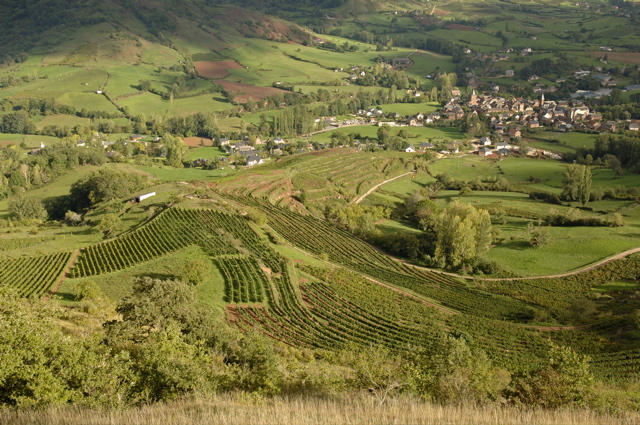 Domaine Laurens