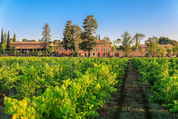 Vins Côtes de Provence Château Saint-Roux Cave & E-Boutique