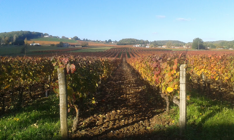 Domaine du Peyrié