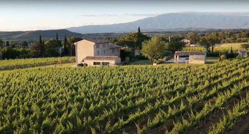 Domaine du Chat Blanc - Vins et oenotourisme