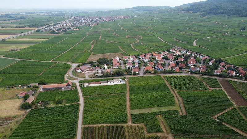 Domaine Gueth - Vins d'Alsace Bio, oenotourisme et chambre d'hôtes, à côté de Colmar et Eguisheim