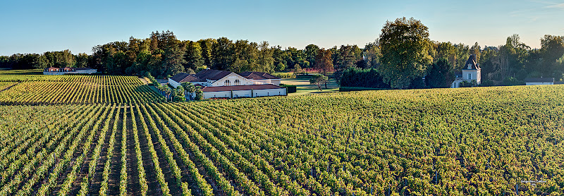 Château Haut-Brion