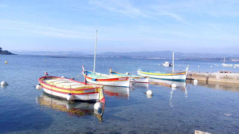 Canoe Kayak 83