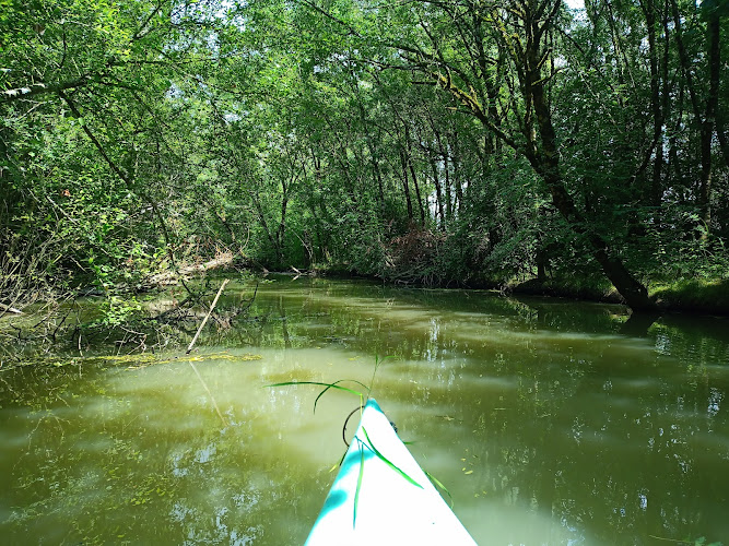 O Plaisir De L'eau