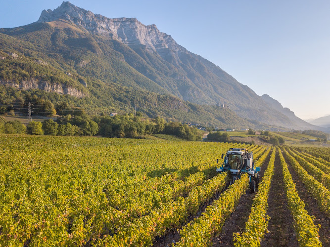 Domaine Jean Vullien & Fils