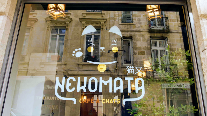 NEKOMATA - Café à chats