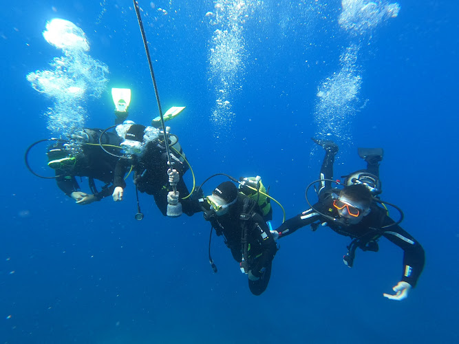 Dive Center Hippocampe