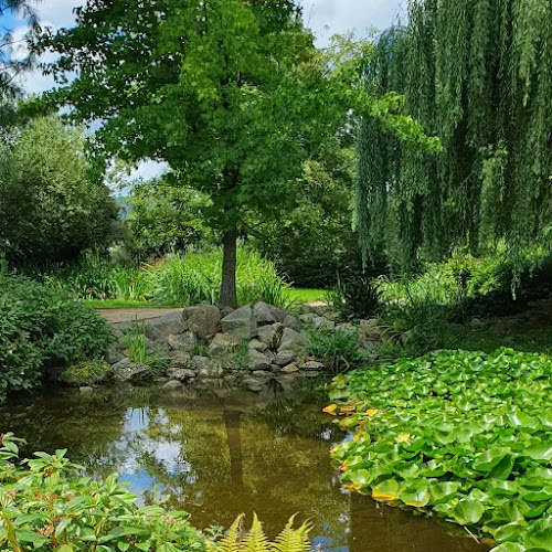 Square aquatique