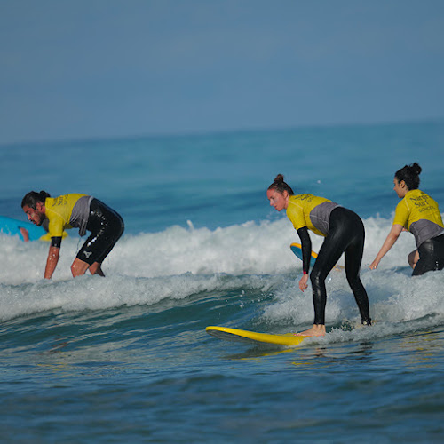 Natural Surf School - École de surf - Seignosse