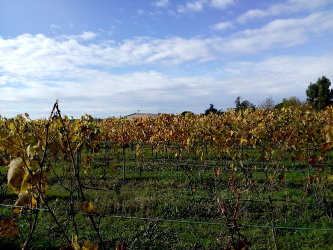 Domaine St Laurent de Saurs