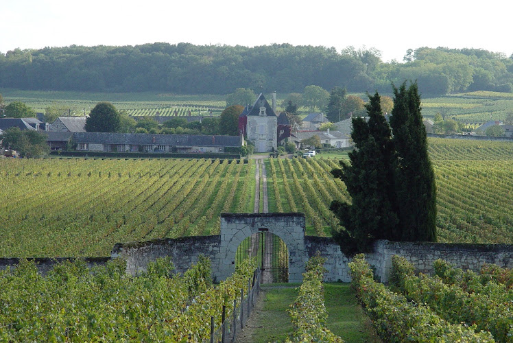 Château de Chaintres