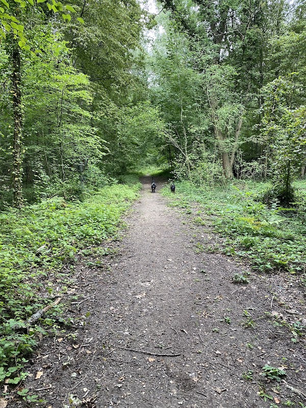 Forêt Domaniale de L'Isle