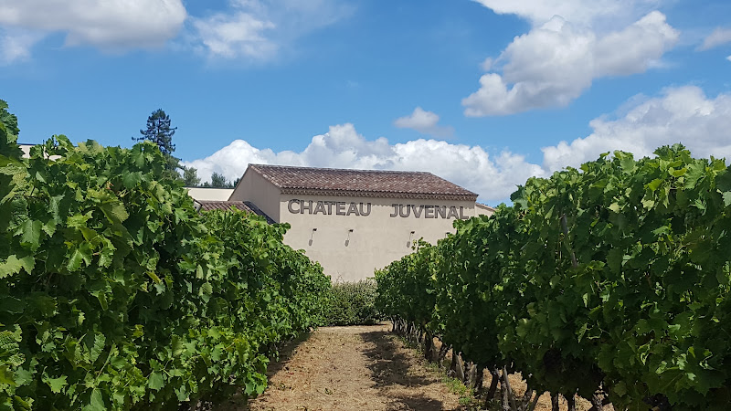 CAVE DU CHATEAU JUVENAL