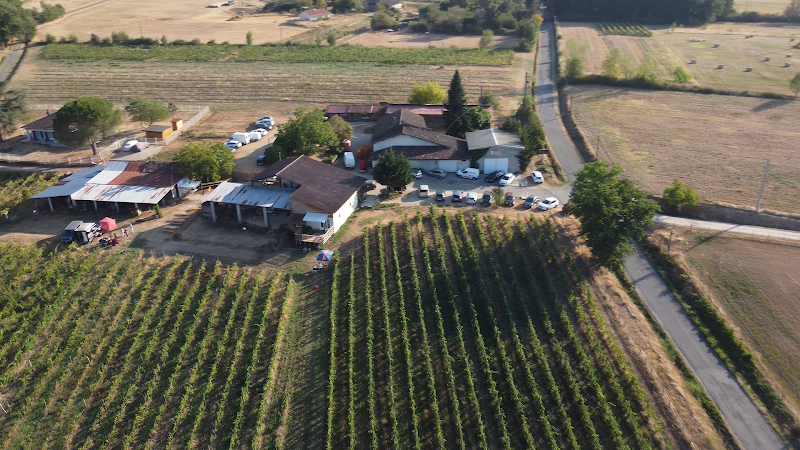 Domaine de Revel - earl Papyllon