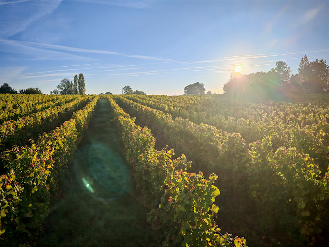 Domaine de Combet