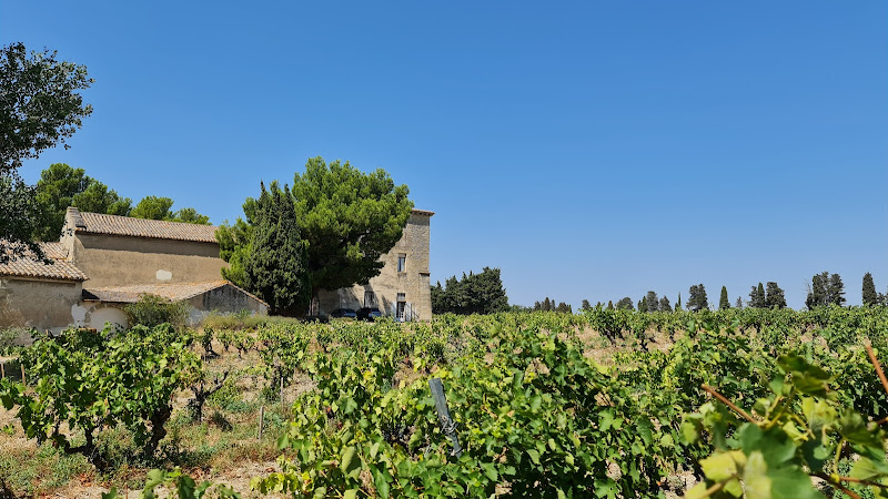 Château Saint Pierre d'Escarvaillac