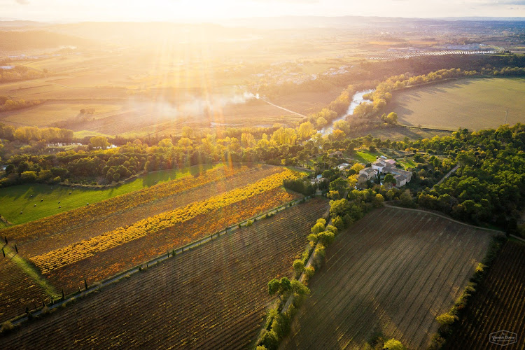 Domaine Cantalauze: Vigneron, Domaine viticole, Dégustation de vins, Vente et visite vignes et cave, Carcassonne, Aude