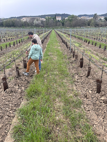 Domaine Nosary