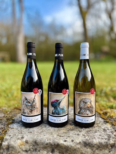 Wepicurien · Animation oenologique à Paris & cave à vins en ligne