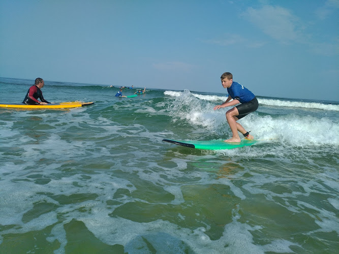 Dreamlandes surf school